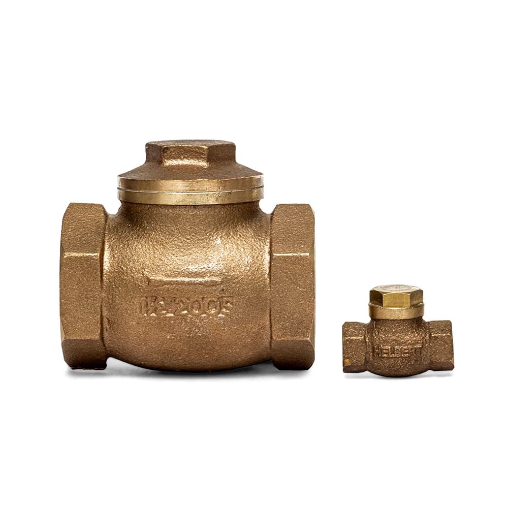 Cheque Globo Bronce Helbert — 1